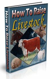 How To Raise Livestock How To Raise Livestock